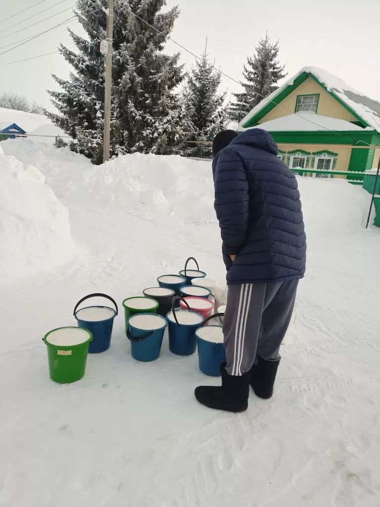 Сөт бәясе төшү сәбәпле, Татарстан хуҗалыклары 1,5 млрд сум акча югалткан
