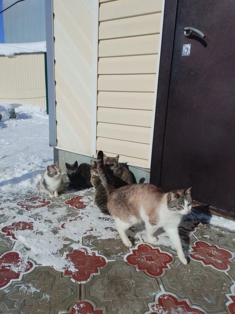 Бүген Әтнәдә аяз һава торышы көтелә