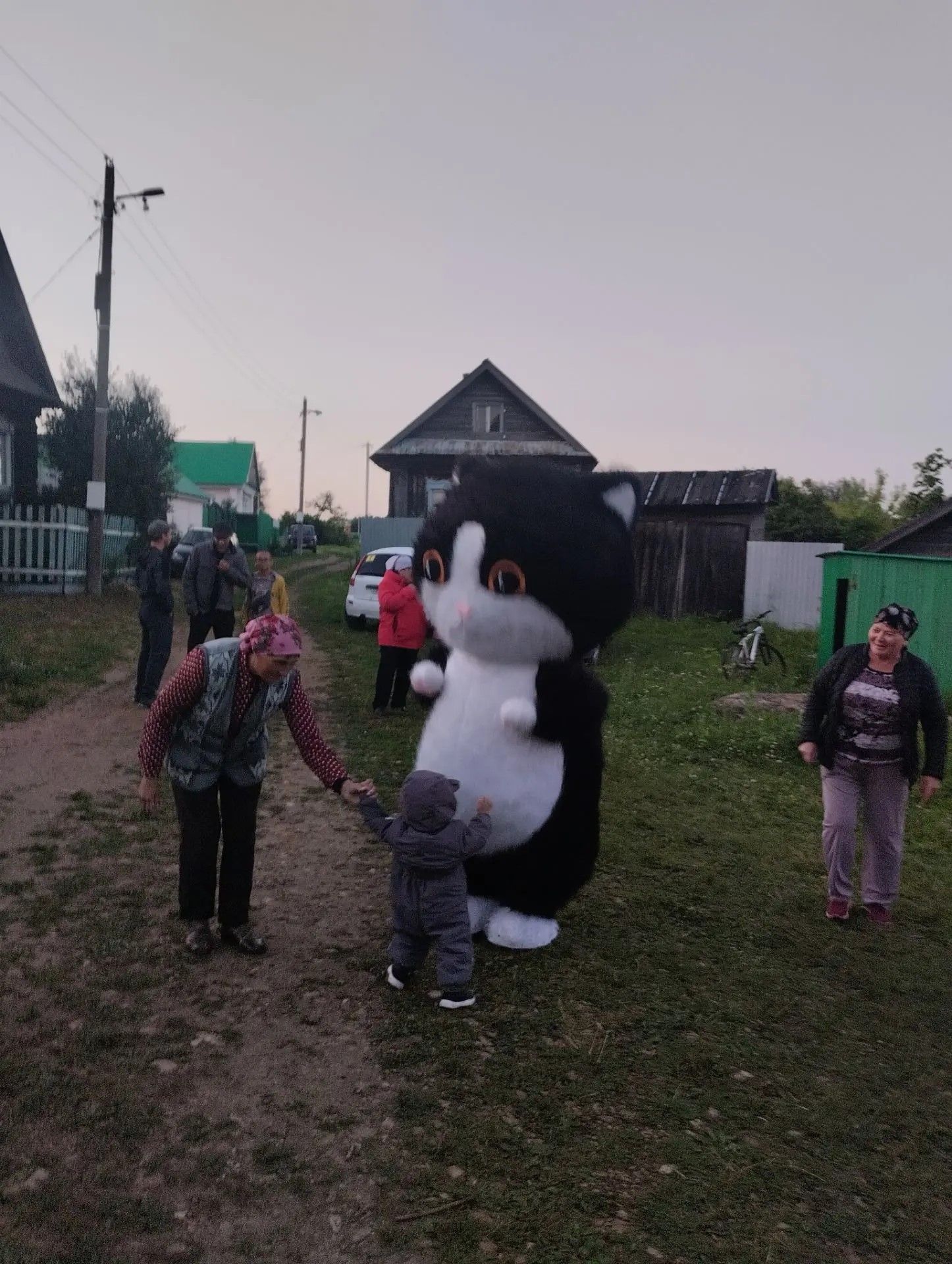 Күл буена килсәң иде...