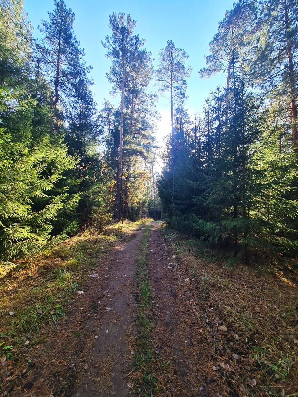 Бүген Әтнәдә аязучан болытлы һава торышы булачак