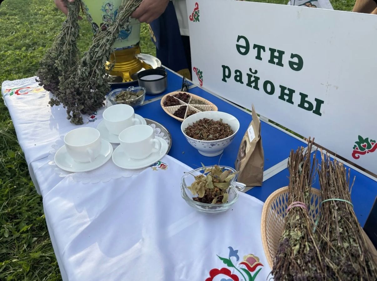 Әтнәләр Кайбыч районында  уңышлы чыгыш ясадылар
