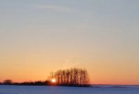 Гөлия бәете