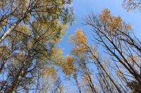 Бер көн калкып чыгар каберең