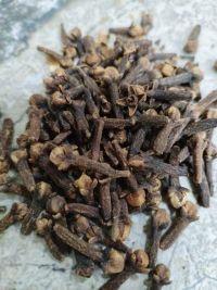 Канәфернең файдасы