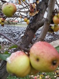 Минем хатаны кабатлама