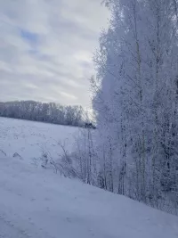 Иремнең сере ачылды – аның инде балалары бар икән