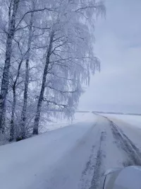 «Карьера гаиләбезне таркатты»