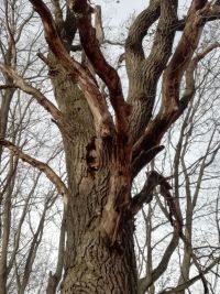 Зират янында күреп ишеткәннәр