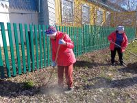 Яз бәласе: тычканлы-талпанлы чорда ничек сакланырга?