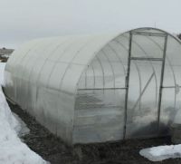 Кыштан соң теплицаны эшкәртәбез: дезинфекцияләү, юу, ашлау