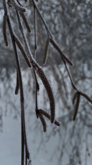 Быелдан диспансеризация үтү кагыйдәләре үзгәрә