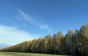Үткән төндә Россиядә дошманның 800дән артык пилотсыз очкычы юк ителгән