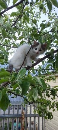Бүген Әтнәдә аязучан болытлы һава