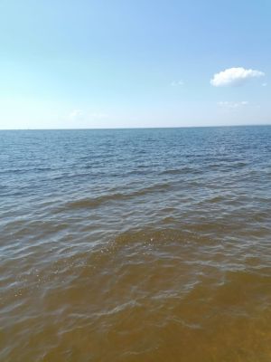 Узган төндә Россиядә дошманның 791 пилотсыз очкычы юк ителгән