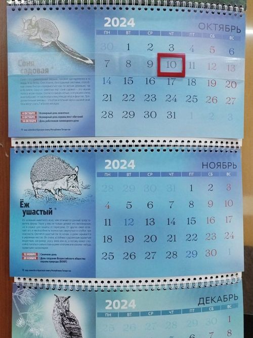 2025 елда отпуск алыр өчен иң отышлы айлар билгеле