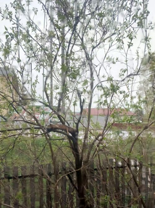 Һава торышы