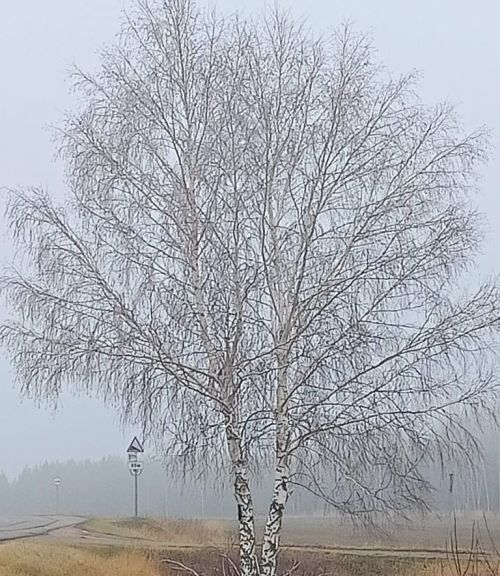 Һава торышы