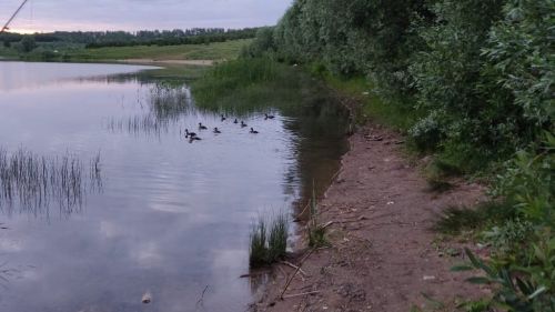 Һава торышы