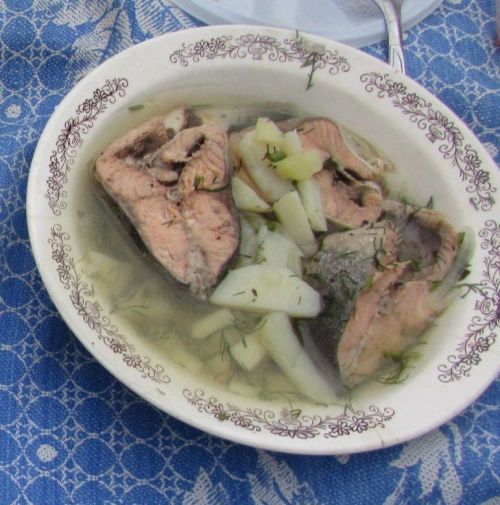Тиз өлгерә торган балык шулпасы