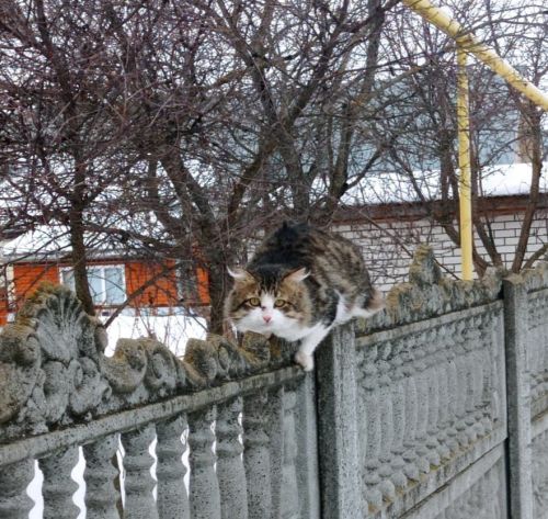 Әтнәдә температураның күтәрелүе фаразлана