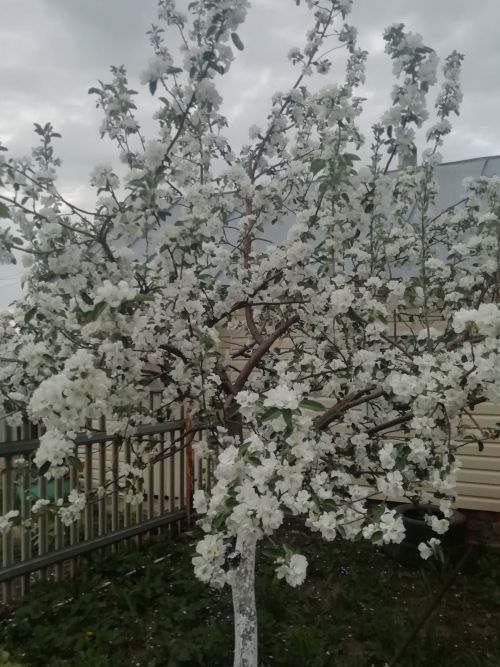 Татарстан Республикасы Дәүләт Советы Рәисе Ф.Х. Мөхәммәтшинның Яз һәм Хезмәт бәйрәме уңаеннан котлавы