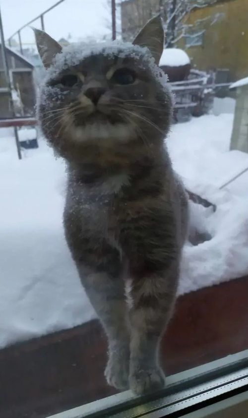 Бүген Әтнәдә температура −32 градуска кадәр төшәчәк