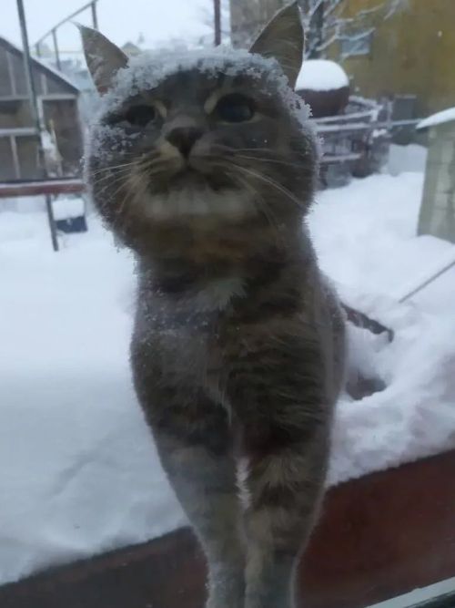 Бүген Әтнәдә температура −32 градуска кадәр төшәчәк