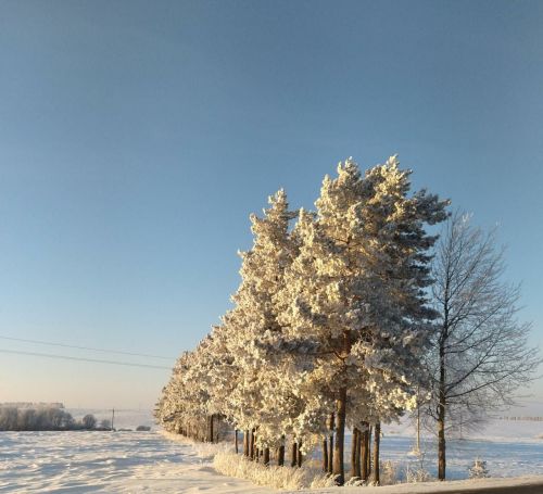 Тормыш булгач төрле хәлләр була