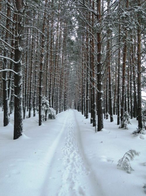 Кышкы каникулларда кайларга барырга була