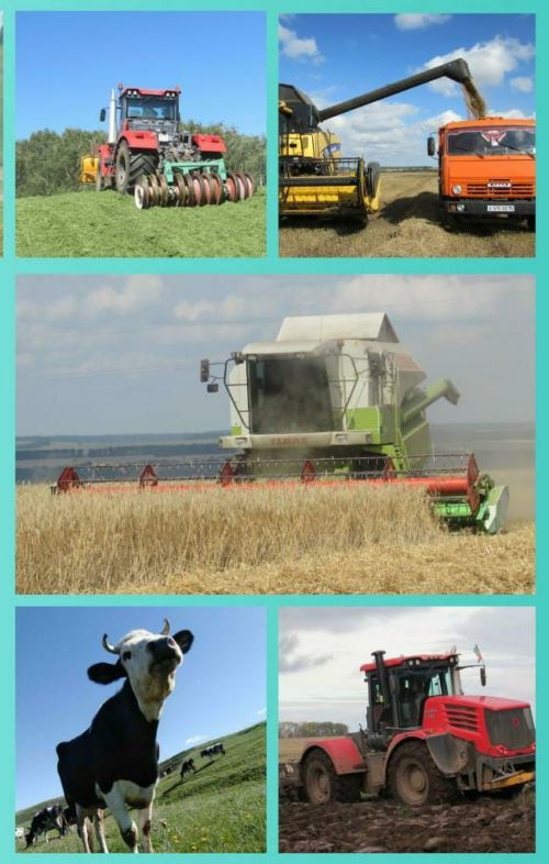 8 октябрь – авыл хуҗалыгы һәм эшкәртү сәнәгате хезмәткәрләре көне