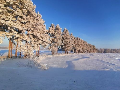 Һава торышы