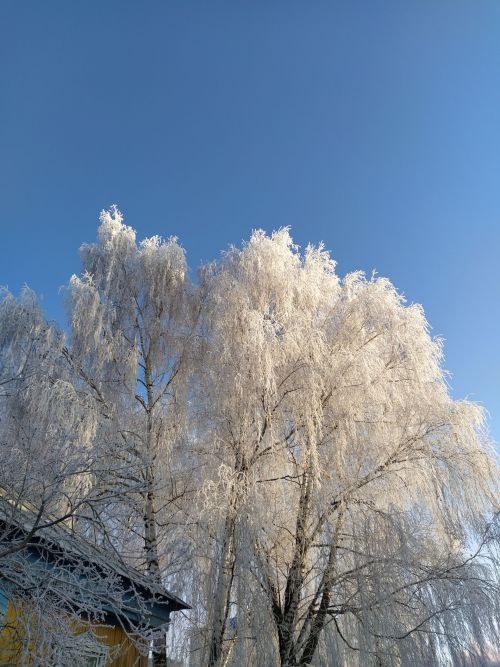 Һава торышы