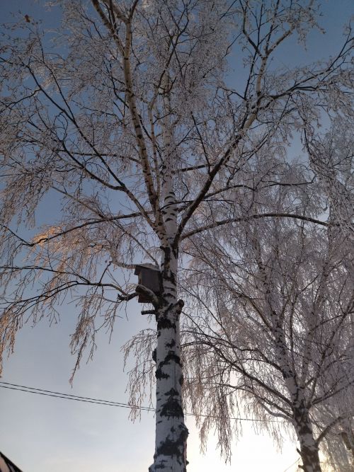 Һава торышы