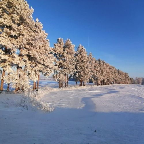 Һава торышы
