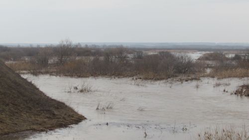 Күрдегезме, аккошлар кайткан