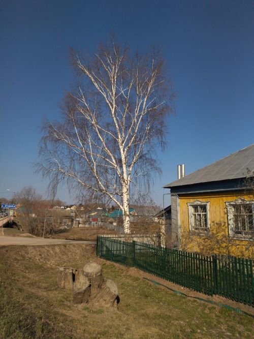 Һава торышы