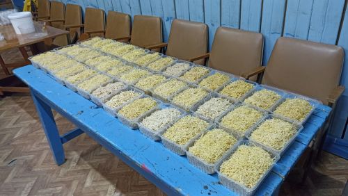 Ташчишмә халкы токмачлата ярдәм итте