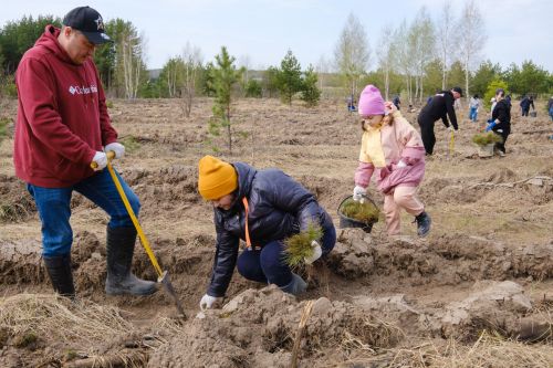 В память о подвиге, с заботой об экологии