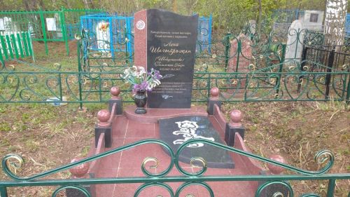 Лена Шагыйрьҗанның каберен чистарттылар