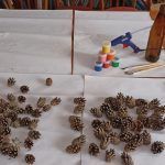 «Мастер-класс»лар дәвам итә
