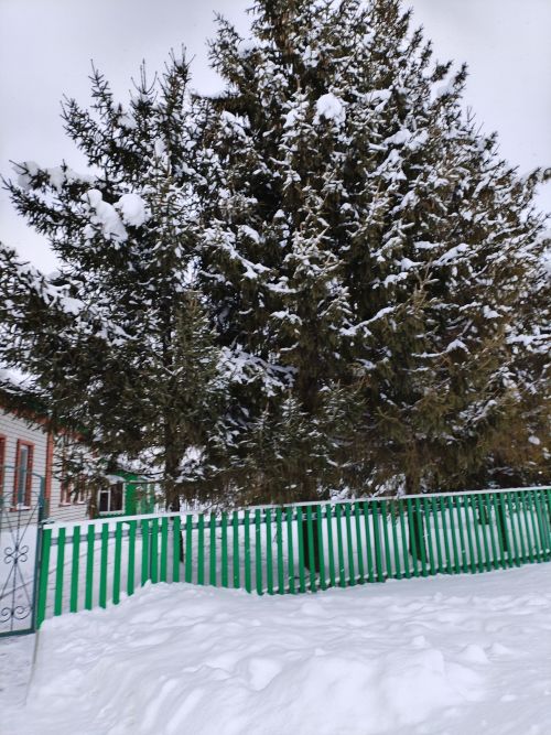 Һава торышы