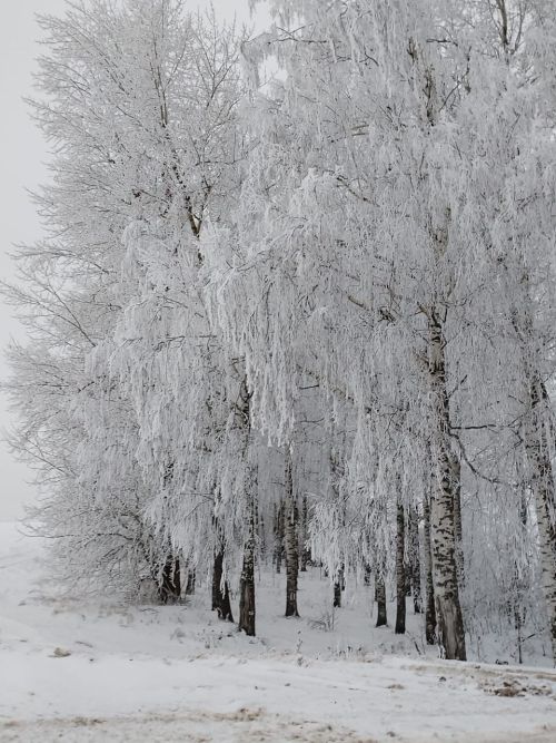 Яңа ел төнендә нинди һава торышы көтелә?