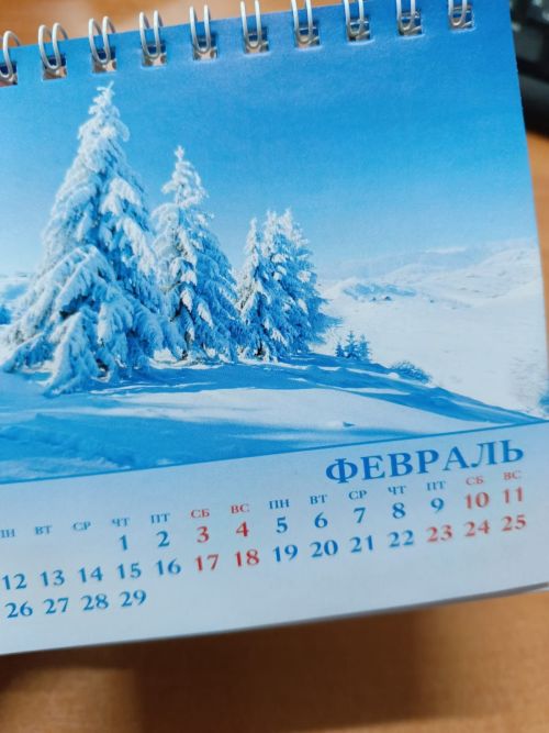 Февраль аенда өстәмә ял көне булачак