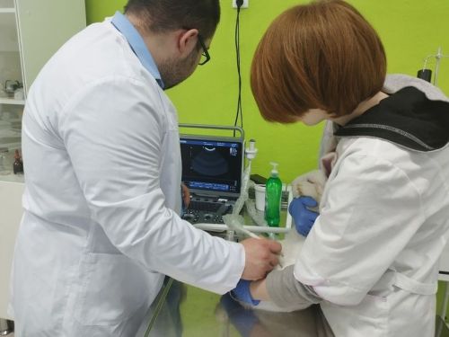 Белемнәрен практикада тикшерәләр