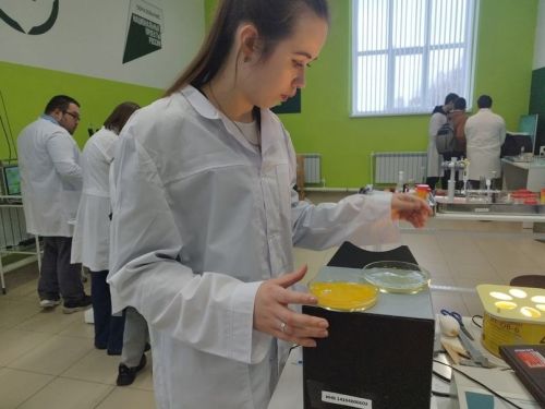Белемнәрен практикада тикшерәләр