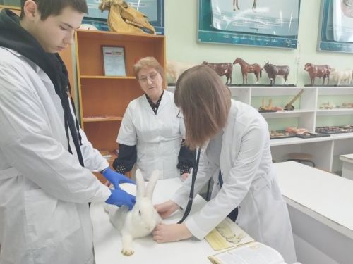 Белемнәрен практикада тикшерәләр