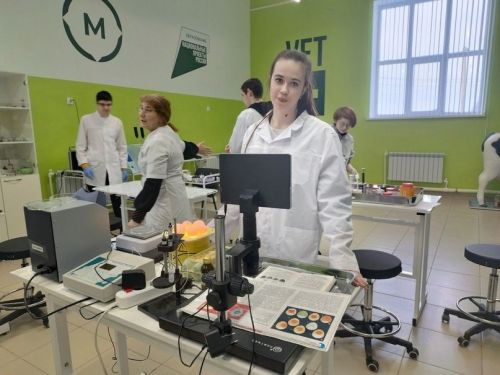 Белемнәрен практикада тикшерәләр
