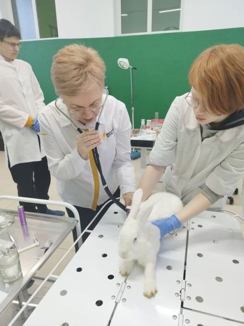 Белемнәрен практикада тикшерәләр