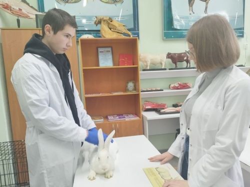 Белемнәрен практикада тикшерәләр