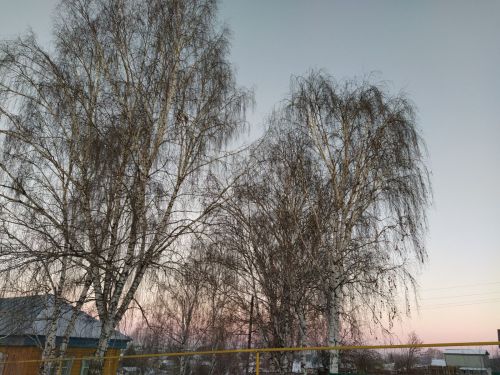 Һава торышы